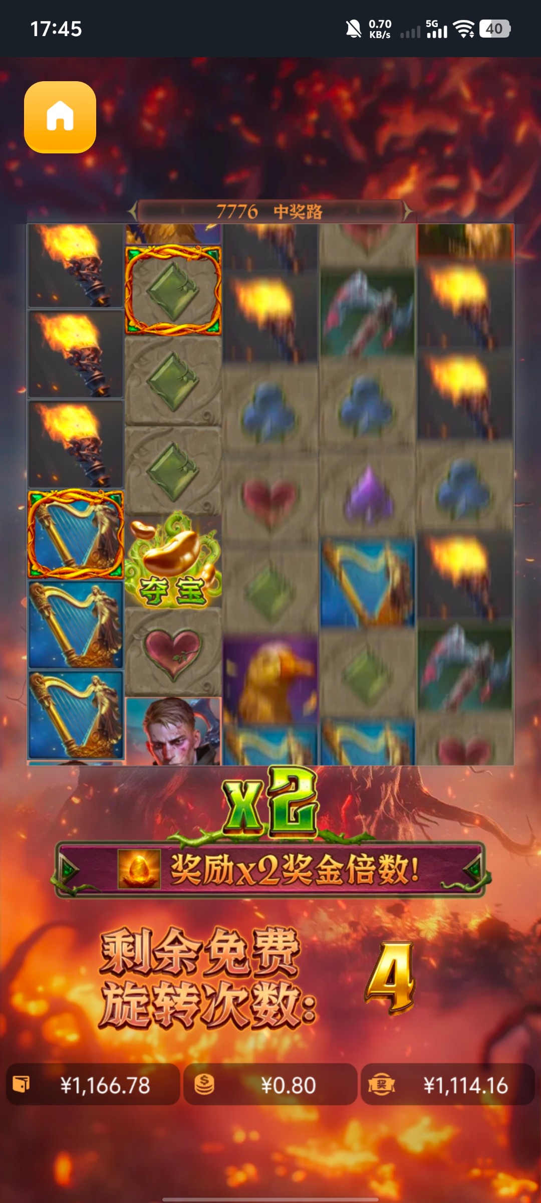 d2.jpg